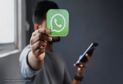 واتساب يقدم ميزة الرسائل المخصصة مع المحتوى المُعاد توجيهه