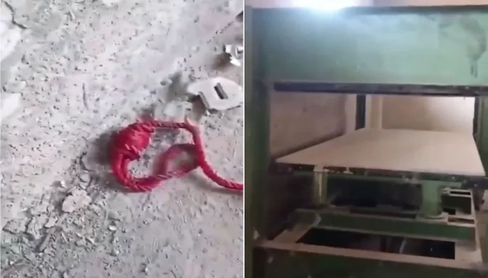 صدمة عالمية من مشهد "مكبس الأجساد" في سجن صيدنايا السوري..هكذا كل المستبدين العرب