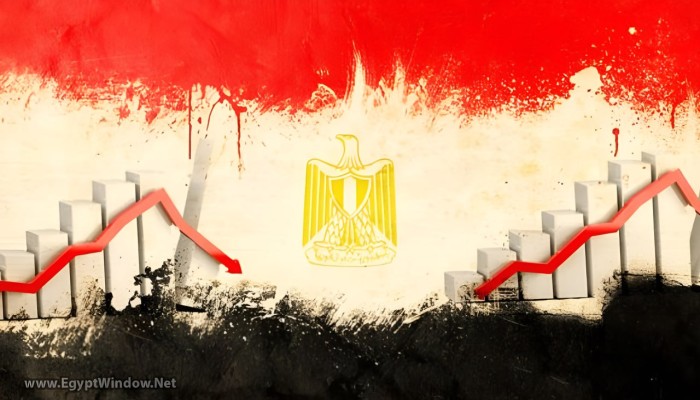 "فيتش" تتوقع انخفاضًا جديدًا لنمو الاقتصاد المصري إلى 3.7%