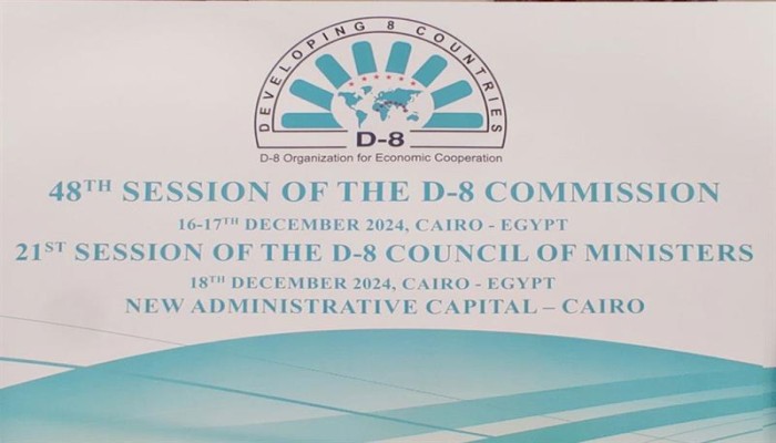 قمة الاستثمار في الشباب... تناقض الواقع وطموحات الشعارات في مصر