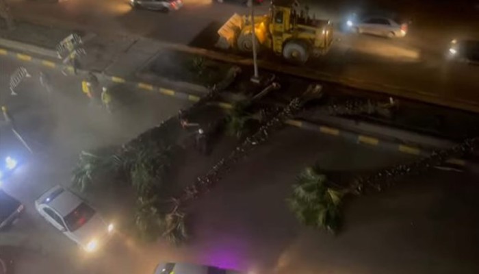 مذابح الأشجار تصل شارع الهرم بالجيزة