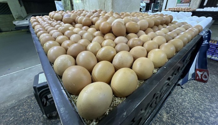 مجلس الوزراء: زيادة 9.67 جنيه في أسعار كرتونة البيض