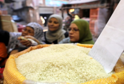 رغم وفرة الإنتاج المحلي.. ارتفاع أسعار الأرز المصري