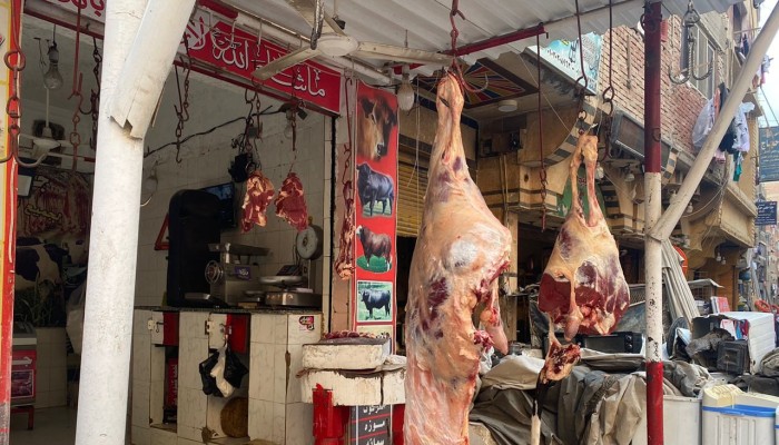 فوضى أسواق اللحوم تضرب أمعاء المصريين
