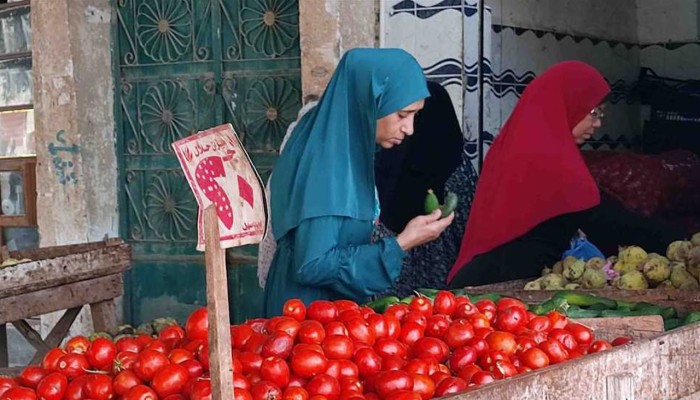 نقيب الفلاحين: أسعار البطاطس والطماطم ستصل إلى 20 جنيهًا