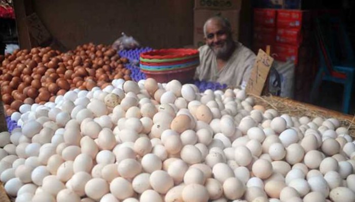 قفزة جديدة في أسعار البيض بزيادة تتجاوز 9 جنيهات