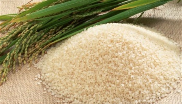 ارتفاع أسعار طن الأرز المحلي 2000 جنيه