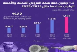 سيل القروض.. الدين الخارجي 155.2 مليار دولار يضاف لها 4 مليارات يورو من أوروبا