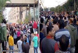إضراب عمال "تي آند سي" بالقليوبية يدخل يومه الرابع