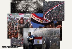 عودة أغاني ثورة 25 يناير.. صوت الحرية يتجدد بعد 14 عامًا (شاهد)