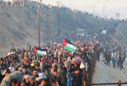 الأزهر يرفض مخططات التهجير: غزة ستظل فلسطينية عربية إلى أن يرث الله الأرض ومن عليها
