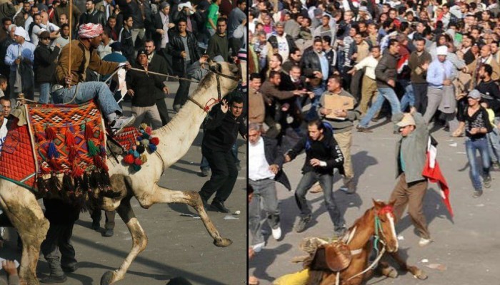 بالفيديو | 14 عامًا على موقعة الجمل.. العدالة المفقودة وشهادات لا تُنسى