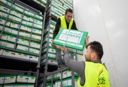 بعد وصول 30 ألف أضحية من السعودية.. هل تذهب اللحوم للمحتاجين أم المنافذ الحكومية؟