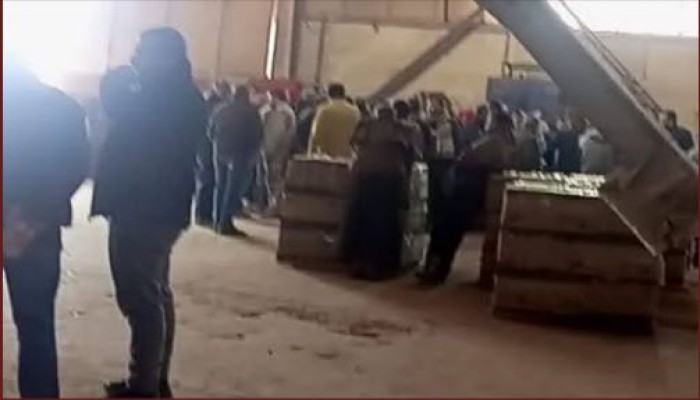 3500 عامل بمصانع الأمير للسيراميك يواصلون إضرابهم لليوم الخامس على التوالي