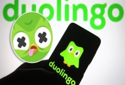 وفاة بومة Duolingo.. تطبيق تعليم اللغات الشهير يثير الانتباه بحيلة تسويقية: مات منتظرًا أن تنهوا دروسكم