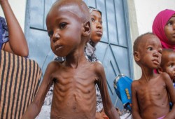 كارثة إنسانية في السودان: تجميد المساعدات الأمريكية يهدد حياة الملايين بالجوع