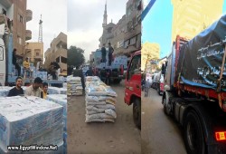 أهالي الدقهلية يلبّون نداء غزة.. قوافل إنسانية تتدفق من القرى دعمًا للأشقاء الفلسطينيين (شاهد)