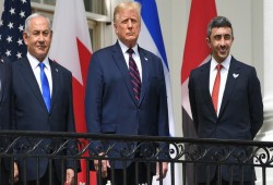 الإمارات خارج الصف العربي الموحد في مواجهة اقتراح ترامب