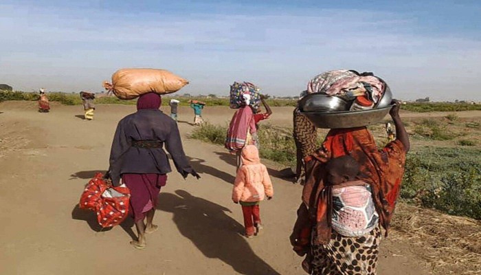 المنظمة الدولية للهجرة: 6500 أسرة سودانية تنزح بسبب القتال العنيف في ولاية النيل الأبيض