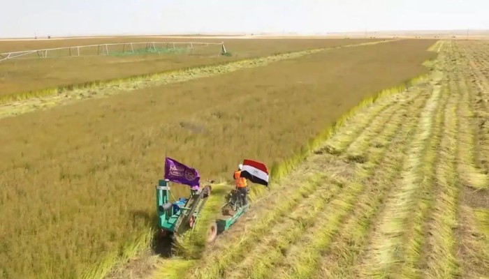 جهاز مستقبل مصر والاستيلاء على أراضي صغار المزارعين... معركة الحقوق والهيمنة