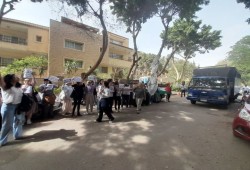 بقرار ترامب.. تسريح 1200 موظف مصري بمكتب (USA AID) بالقاهرة