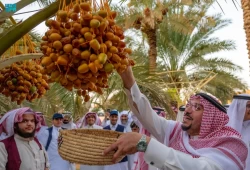 بالأرقام.. العرب أكبر منتجي التمر في العالم