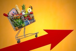 عام على التعويم.. ارتفاع الأسعار وانتشار الفساد في عهد السيسي