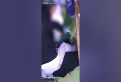 شاهد.. جريمة طعن مروعة لفتاة في بنها تعيد مرارة جريمة الطالبة نيرة أشرف!!