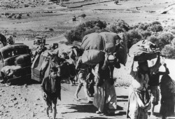 اللاجئون من غزة حذروا الغرب قبل 70 عامًا: الفلسطينيون سيقوّضون أي تحالف مع العرب يُقام على حسابهم
