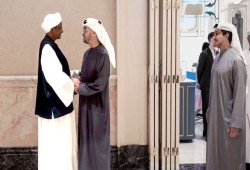 العدل الدولية تعقد جلسة بشأن الاتهامات الموجهة للإمارات بارتكاب جرائم في السودان