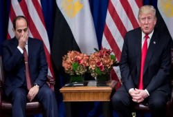مكالمة ترامب والسيسي.. ماذا جاء بها؟!
