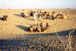 "سيناء عربية وليست مصرية".. حملة لـ"تقرير مصير" البدو يقودها ذباب إلكتروني سعودي