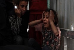 في يوم الطفل الفلسطيني... أطفال غزة تحت مقصلة الإبادة الصهيونية