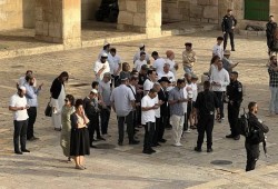 شاهد|| قطعان الصهاينة يقتحمون المسجد الأقصى اليوم الأحد
