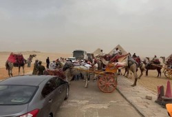 شاهد|| خناقة "نجيب ساويرس" وخيالة الأهرامات بالتشغيل التجريبي لمشروع التطوير !!