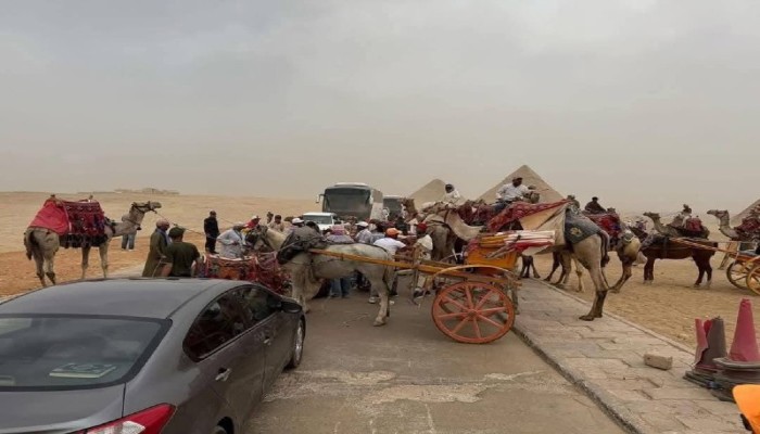 شاهد|| خناقة "نجيب ساويرس" وخيالة الأهرامات بالتشغيل التجريبي لمشروع التطوير !!