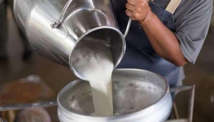 أطعمة تحتوى على الكالسيوم أكثر من الحليب
