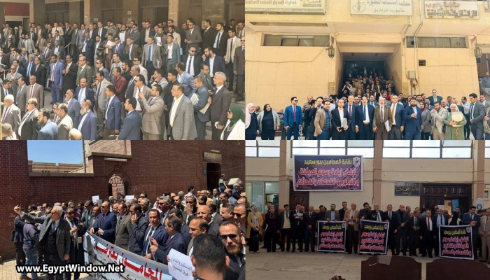 شاهد|| انتفاضة المحامين ضد جباية "الرسوم القضائية المميكنة" في عموم مصر