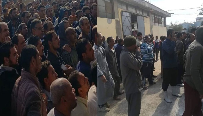 قانون عمل السيسي "يُجرّم" الإضراب.. وعمال"إينوفا" و"وبريات سمنود" يدفعون الثمن بالتسريح والسجن