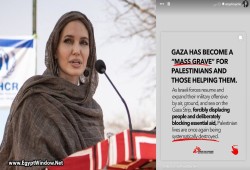 أنجلينا جولي تجدد دعمها غزة: تحولت لمقبرة جماعية!