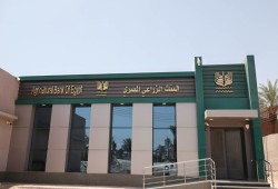 مئات المفصولين من البنك الزراعي يتظاهرون ضد فصلهم بلا تحقيق