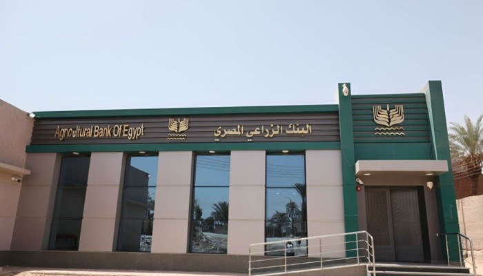 مئات المفصولين من البنك الزراعي يتظاهرون ضد فصلهم بلا تحقيق