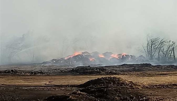 حريقان مروعان يلتهمان محصول 1000 فدان ومخزن للكتان ويصيبا 28 شخصا بالغربية