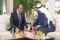انسحاب "أبو قير للأسمدة" من مجمع الميثانول... فشل تأمين الغاز أم تسهيل لاستحواذ خليجي؟