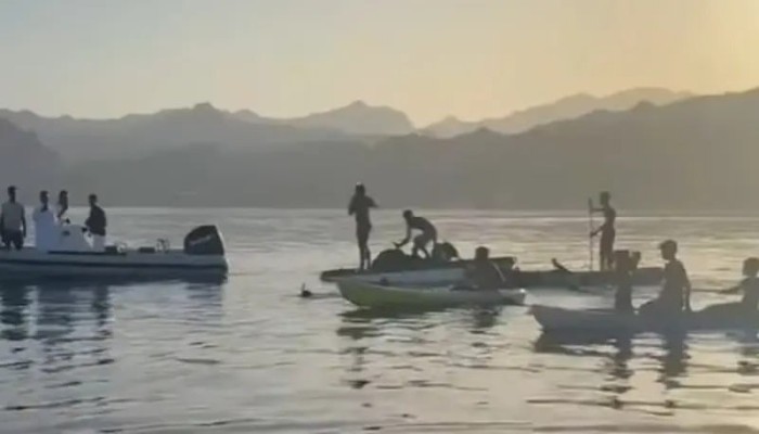 بالفيديو.. مصطافون يلاحقون قرشًا ضخمًا بشواطئ دهب