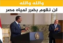 قول والله والله.. نشطاء يسخرون من تصريح وزير الخارجية " بتضامن عربي مع مصر بشأن سد النهضة"..ماذا قالوا؟