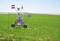 "جهاز مستقبل مصر" يستولي على أراضي المستثمرين بعد سنوات من استصلاحها وشرائها من محافظة الفيوم