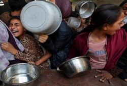 الجارديان || الأمم المتحدة تحذر من موت 14 ألف رضيع في غزة ما لم يدخل الغذاء فورًا
