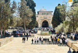 رغم غلق الاحتلال لمداخل القدس لتنظيم ماراثون تهويدي.. 40 ألفًا يؤدون صلاة الجمعة بالأقصى