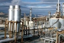 مصانع الأسمدة تتوقف عن العمل.. والجمعيات الزراعية تغلق أبوابها أمام الفلاحين